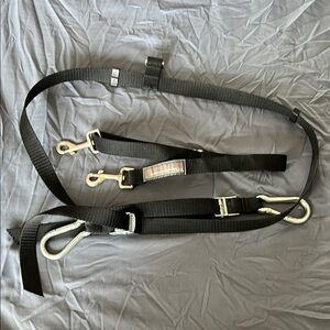 Black Adjustable Strap with Metal Hooks, to secure dogs in bed of truck.